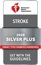 Stroke Silver Recognition 2025