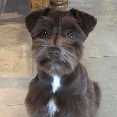 Fiona