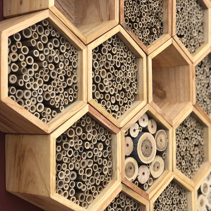 Carson Tahoe Bee Hotel