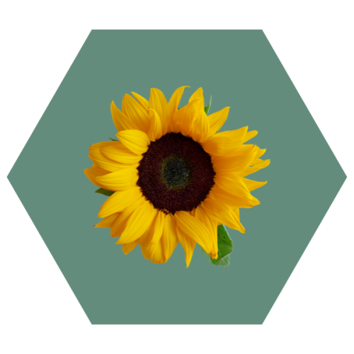 SunflowerAward