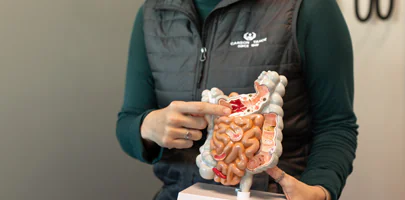 Gastroenterology
